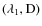 $\rm {(\lambda _1, D)}$