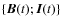 $\{{\bm B}(t);{\bm{I}}(t)\}$