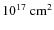 $10^{17}\rm ~cm^2$