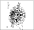\begin{figure}
\par\framebox[6cm][c]{
\resizebox{3.5cm}{!}{\includegraphics[clip]{Old/9680f10.eps}}}
\end{figure}