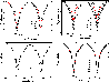 \begin{figure}
\includegraphics[width=8.6cm,clip]{9877f8.eps}
\end{figure}