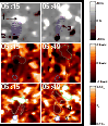 \begin{figure}
\par\resizebox{8.9cm}{!}{%
{\includegraphics[scale=.5]{0601fig3.e...
...raphics[bb=145
198 213 632,clip,angle=0,scale=.625]{0601bar3.eps}}}
\end{figure}