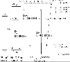 \begin{figure}
\par\includegraphics{nouv_fichier_9_juin_2009/1411f001.eps}\\
\end{figure}