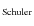 $_{\rm Schuler}$