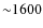 ${\sim} 1600$