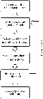 \begin{figure}
\par\includegraphics[width=5.5cm,clip]{1740fig1.eps}
\end{figure}