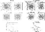 \begin{figure}
\par\includegraphics[width=16cm,clip]{1740fig3.eps}
\end{figure}
