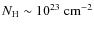 $N_{\rm H} \sim 10^{23}~{\rm cm}^{-2}$