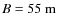 $B=55~{\rm m}$