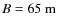 $B=65~{\rm m}$