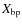 $X_{\rm bp}$