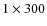 $1 \times 300$