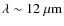 $\lambda\sim12~\mu{\rm m}$