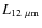 $L_{12~\mu{\rm m}}$