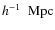 $\mbox{$h^{-1}$ ~Mpc}$