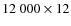 $12~000 \times 12$