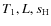 $T_1,L,s_{\rm H}$