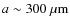 $a\sim300\ \mu{\rm m}$