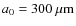 $a_0=300\ \mu {\rm m}$