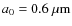 $a_0 = 0.6\ \mu{\rm m}$
