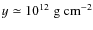 $y \simeq10^{12}~{\rm g~ cm^{-2}}$