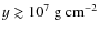 $y\gtrsim10^{7}~{\rm g~ cm^{-2}}$