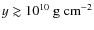$y\gtrsim10^{10}~{\rm g~ cm^{-2}}$