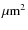 $\mu \rm m^{2}$