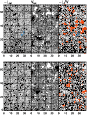 \begin{figure}
\par\includegraphics[width=7.8cm,clip]{11727fi2.eps}
\end{figure}