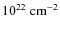 $10^{22}~\rm {cm}^{-2}$