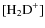 $[{\rm H_2D}^+]$