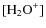 $[{\rm H_2O}^+]$