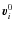 $\vec{v}_i^{0}$