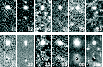 \begin{figure}
\par\includegraphics[width=9cm,clip]{12045f4.eps}
\end{figure}