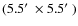 $(5.5\hbox{$^\prime$ }\times 5.5\hbox{$^\prime$ })$