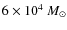 $6 \times 10^4~M_\odot$