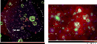 \begin{figure}
\par\parbox{18cm}{\epsfig{file=11021fg12a.eps,width=3.1 in,angle=...
...hspace*{0.2 in}\epsfig{file=11021fg12b.eps,width=3.4 in,angle=0}}
\end{figure}