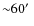 ${\sim}60 \hbox{$^\prime$ }$