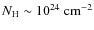$N_{\rm H}\sim10^{24}~ \rm cm^{-2}$