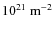 $10^{21}~{\rm m^{-2}}$