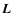 $\vec{L}$