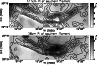 \begin{figure}
\par\includegraphics[angle=-90,width=8.5cm]{11706f9a.ps}\par\includegraphics[angle=-90,width=8.5cm]{11706f9b.ps}
\end{figure}