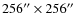 $256'' \times 256 ''$