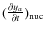 $(\frac{\partial y_\alpha }{\partial t})_{{\rm nuc}}$