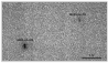 \begin{figure}
\par\includegraphics[width=8.5cm]{12569_fg4.eps}
\end{figure}