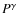 $P^\gamma$