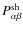 $P^{\rm sh}_{\alpha\beta}$