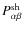 $P_{\alpha\beta}^{\rm sh}$