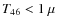 $T_{46}< 1~\mu$