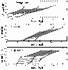 \begin{figure}
\par\includegraphics[width=8.5cm,clip]{11756f5.eps}
\end{figure}